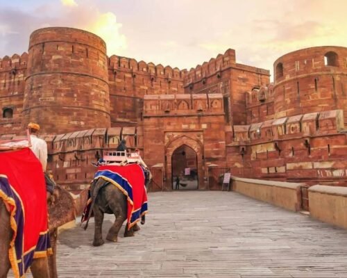 Golden Triangle Tour